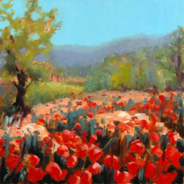 Dance of The Poppies